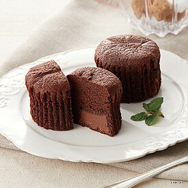 ミカド珈琲 トリュフショコラケーキ MT-8A【2025】