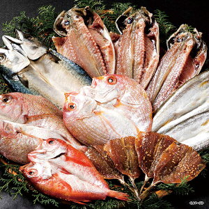 ��B�C�N�Ђ��̋l���� IU-8A�y2025�z