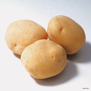 yo׊:10{-2{zkCY 0000-034085y2025z