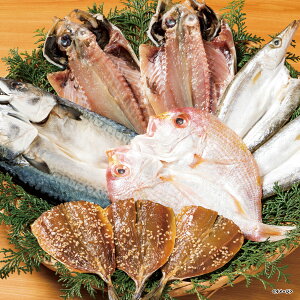 �����E�G�_ ��B�C�N�Ђ��̋l���� IU-5A�y2025�z