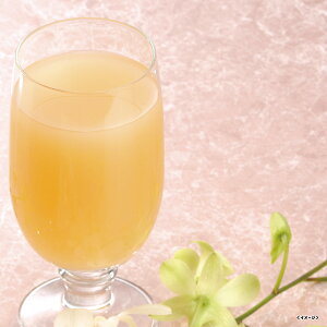 ]s 񂲃W[Xl yuh710×2zy2025z