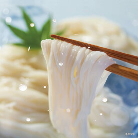 手延べ三輪素麺（レシピ集付き） RMX-30_25【2025】