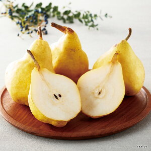 yo׊:1125-1225zVYEN`F 1.7kg(5-6ʁjy2025z
