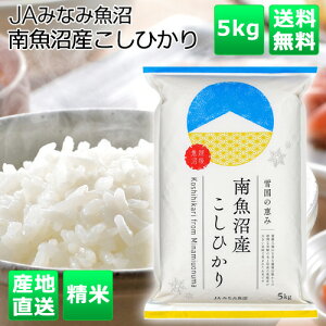 ߘa7NY@VāJA݂Ȃ݋  ߘa7NY 싛YЂ 5kg 5L Ђ RVqJ V   Ε Mtg ăMtg ~Mtg  O Yn Y Y