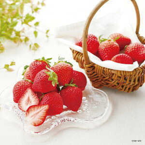 yΕE~Mtgz܂@350gyo׊:125-1225@zB̂w͏܂Bz