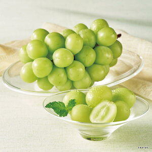 yΕE~Mtgz VC}XJbg@305701yo׊:11{-12{@zB̂w͏܂Bz