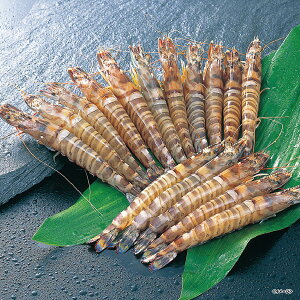 yΕE~MtgzCV̋{ YⓀԂс@R4-300