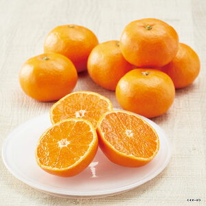 yΕE~Mtgzaʎ Lc݂@T-3kyo׊:121-1220@zB̂w͏܂Bz