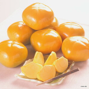 yΕE~MtgzޗǌY ˂Ȃ`@2L9ʁyo׊:121-1227@zB̂w͏܂Bz