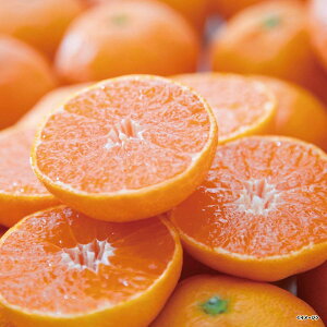 yΕE~Mtgz~gIWK[f Q̉B݂@3kgyo׊:115-1225@zB̂w͏܂Bz