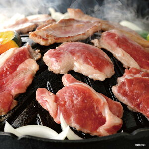 yΕE~Mtgz̎R{ itj@24-03-YA