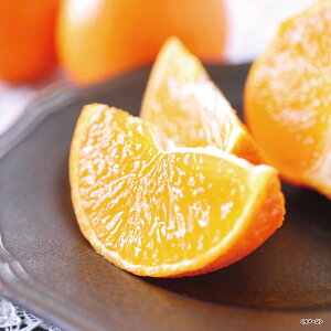 yΕE~MtgzQ g܂ǂȁ@25MDN15yo׊:12{-12{@zB̂w͏܂Bz