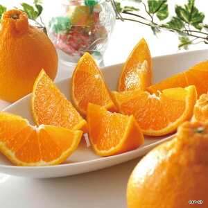 yΕE~MtgzF{fR|@25DKPyo׊:12{-12{@zB̂w͏܂Bz