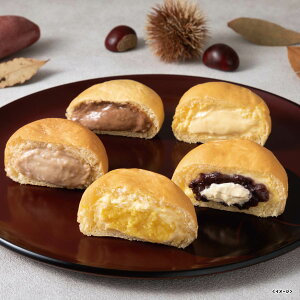 yΕE~MtgzV ~̂[ރp510l@wt166