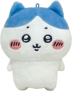  PlayCharm n` vC`[ ʂ X}z ANZT o_CiRkC