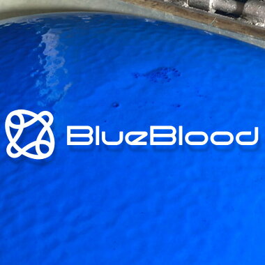 BlueBloodインサートモールディング4DピローTrinityトリニティー