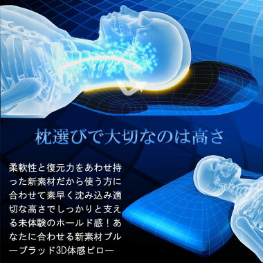 【送料無料】全てのまくら難民へ!ブルーブラッドBlueBlood3D体感ピロー/65x40cm