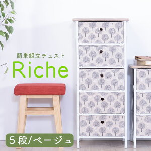 `FXg 4i 5i ȒP gݗ ؖڒV Riche [`F [ ^X [P[X {bNX ߑP[X [ o c[  킢 V l炵 ȒPg Hsv