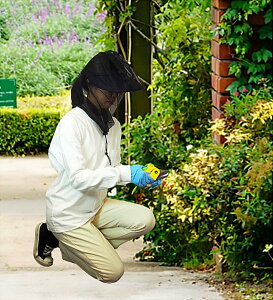 ʂ钎悯bV tFCXJo[ bVf t[TCY h  XL[g Ꮬ 