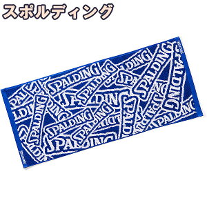 X|[c^I 34*80cm WJ[h^I SDS u[ oXPbg{[  X|fBO SAT211030 SPALDING Ki