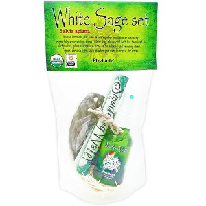 PhyllailezCgZ[W XZbg X^[^[Lbg