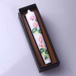 Ԃ낤10(͂ @) 15cm 1{yr낤X zԂ낤z