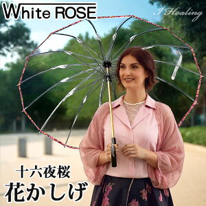 {rj[P JP \Z Ԃ sN zCg[Y ɋP P16{P Ȃ^nhVR fB[XyЕSz