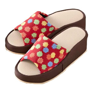 Ǝ炭 Xbp 6cmq[ Lb` VN  ɂbV ׂ~ a Iׂ2F S M [V[Y