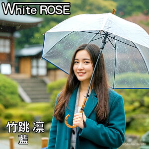 zCg[Y P | z  Wv rj[P VR Ƃ  P 8{P {yЕSz