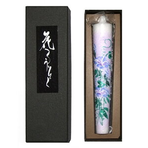 Ԃ낤10( ) 15cm 1{yr낤X zԂ낤z