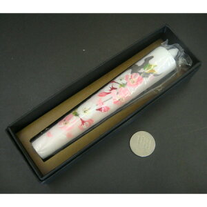 Ԃ낤(10)A^Cv 2{(A~)yr낤X zԂ낤z