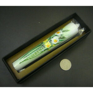 Ԃ낤10( ) 15cm 1{yr낤X zԂ낤z