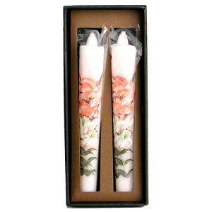 Ԃ낤20() 12cm 2{yr낤X zԂ낤z