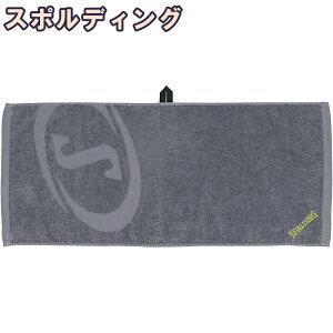 GbZV X|[c^I S ~XgO[×C 34×80cm  oXPbg{[ X|fBO SAT211180 Ki