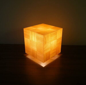 AKA-022@ANL[us@؃cL@s͗liYځjLEDd