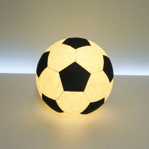 AMIO-211A ̍suviuj@TbJ[{[v@荗~a(LEDdF)TbJ[DȂqlAFlւ̃v[gƂĂE߂łI