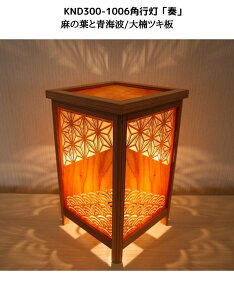 KND300-1006@[U[psutv̗tƐCg/퐙cLzeEaفEHXEN[[V{݂ȂǂɂE߁IYȖؖڂ̓`ZpƐZpgݍ킹i