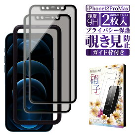 iPhone12 Pro Max ガラスフィルム 保護フィルム 覗き見防止 フィルム iPhone 12 pro max アイフォン 液晶保護フィルム 画面フィルム 画面保護フィルム 叶kanae カナエ 強化ガラス