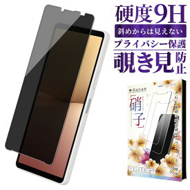 【10%OFFクーポン配布中】 Xperia 10 v SO-52D ガラスフィルム SOG11 保護フィルム 覗き見防止 フィルム エクスペリア10v 液晶保護フィルム 画面フィルム 画面保護フィルム 叶kanae カナエ 強化ガラス