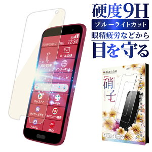 炭炭X}[gtH F-53E KXtB f53e یtB tB u[CgJbg tB ی tیtB ʃtB ʕیtB kanae JiG KX