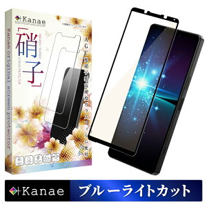 �y10%OFF�N�[�|���z�z���z Xperia 1 iv SO-51C SOG06 A201SO �K���X�t�B���� �ی�t�B���� �u���[���C�g�J�b�g xperia1iv xperia 1iv �K���X�t�B���� �t�B���� �G�N�X�y���A �S�� �ی� �t���ی�t�B���� ���