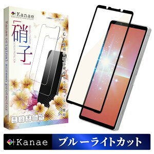 Xperia 5 v SO-53D SOG12 �K���X�t�B���� �ی�t�B���� �u���[���C�g�J�b�g xperia5v xperia 5v �K���X�t�B���� �t�B���� �G�N�X�y���A �S�� �ی� �t���ی�t�B���� ��ʃt�B���� ��ʕی�t�B���� ��kana