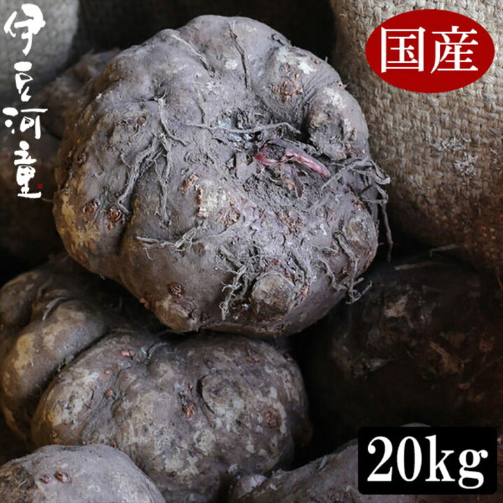 楽天市場】【メーカー直送】令和6年度秋収穫 国産こんにゃく芋 20キロ 