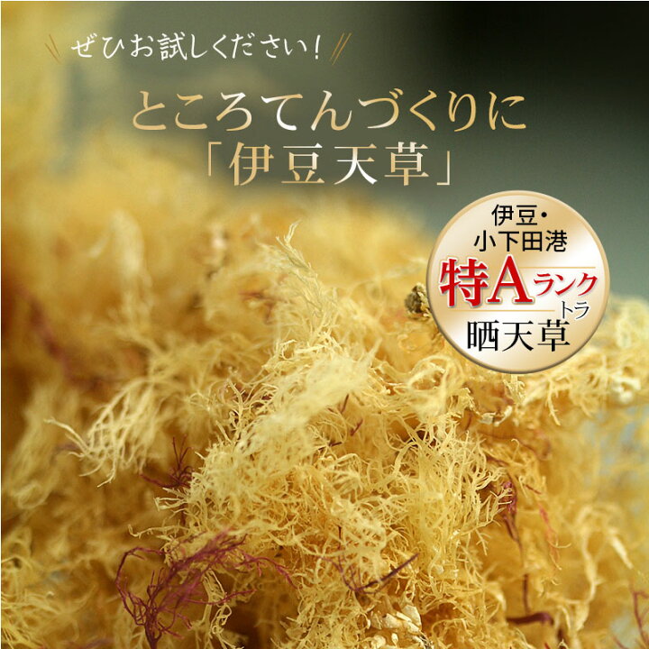 楽天市場】天草 ところてん用 50g×8 伊豆産 ところ天草 テングサ 南房総産天草ところてん8キロ