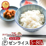 こんにゃく米 レンチン ゼンライス 生 国産 レンジ お試し 1ヶ月分 業務用 レンジで温めるだけ 生タイプ …