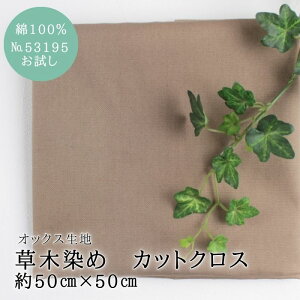 ؐ n   z JbgNX F uE N~ ݃J[ H~ | i` No.53195 IbNX c50cm×50cm  Rbg ӓ {  D 100% a 