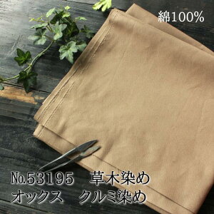 n n ؐ z zn  { IbNX n Rbg 100 eLX^C N~ No.53195   i` a  nhCh | 50cm Jbg肭݃J[ \[C