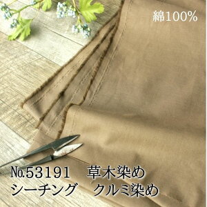 n n ؐ z zn  { n Rbg 100 eLX^C V[`O N~ No.53191   i`  nhCh | Jbg ݃J[ \[CO p