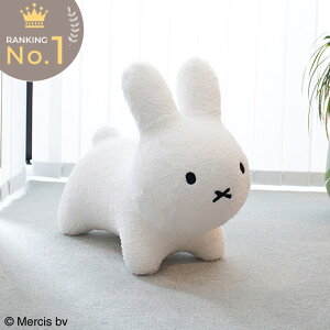 y365oׁz u[i{{ ӂ탂R zCg NX}X Mtg v[g  ̎q j̎q ӂ@tR@ ~btB?  o[ pߋ V 