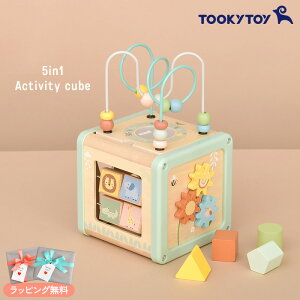 Tooky Toy gD[L[gC 5in1 ANeBreBL[u TJ006 mߋ eb\[ ؂̂ Ԃ 1 2 3 킢 [sO ^͂ H a v[g yz